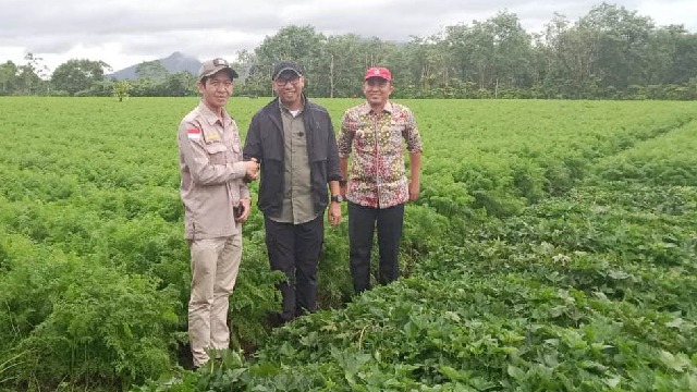 Gubernur Lampung dan Bupati Lampung Barat Temui Petani, Bahas Pupuk dan Bibit  