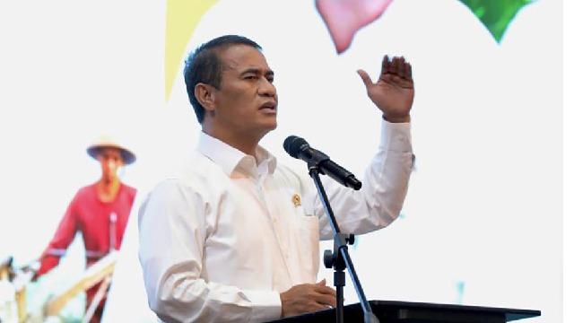 Pemerintah Gelontorkan KUR Rp50 Triliun untuk Peternak Ayam untuk Pasokan MBG