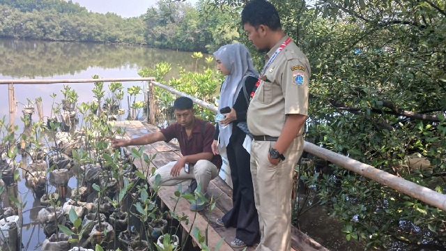 Besok Tani Merdeka Indonesia dan Yayasan Cipta Resiliensi Tanam 3.000 Mangrove, Ajak Warga Jaga Pesisir